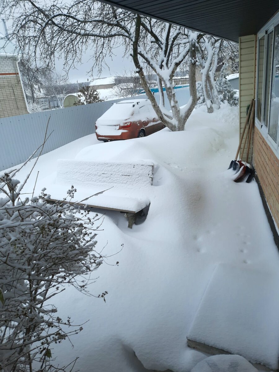 Утро следующего дня, когда был вычищен двор....