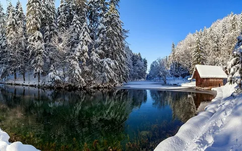 Яндекс.Картинки