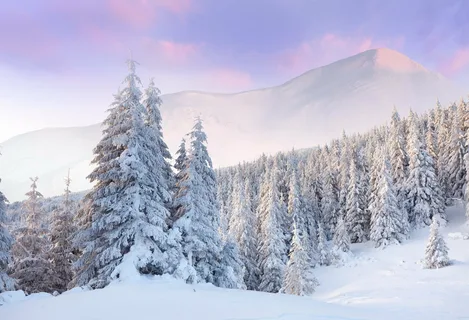 Яндекс.Картинки
