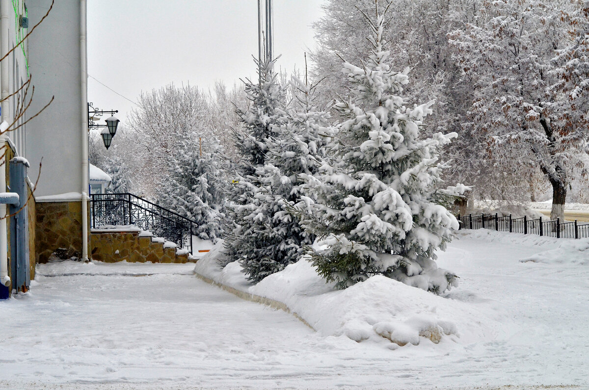 Зима в Вольске в 2017 году.