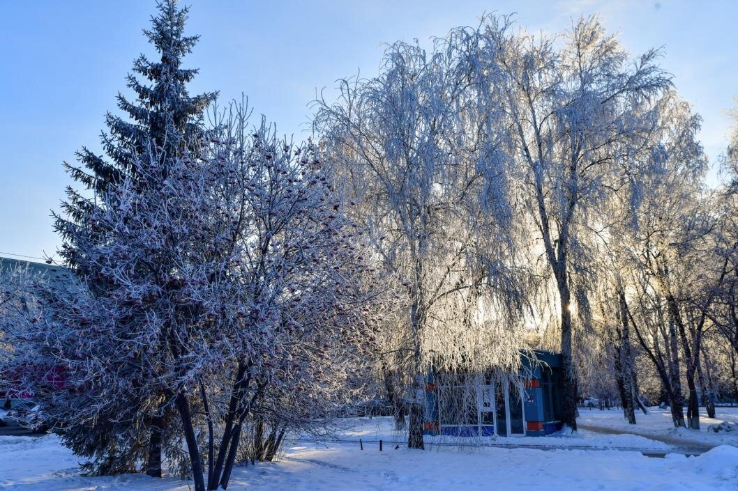 Фото: Сергей Елесин, ИА "Тюменская линия"