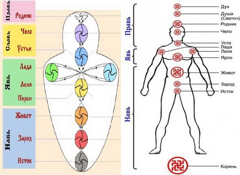 Яремная ямка - e-Anatomy - IMAIOS