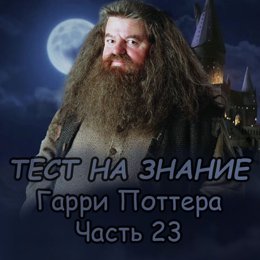 Тест на знание Гарри Поттера. Часть 23 | Квизимания | Дзен