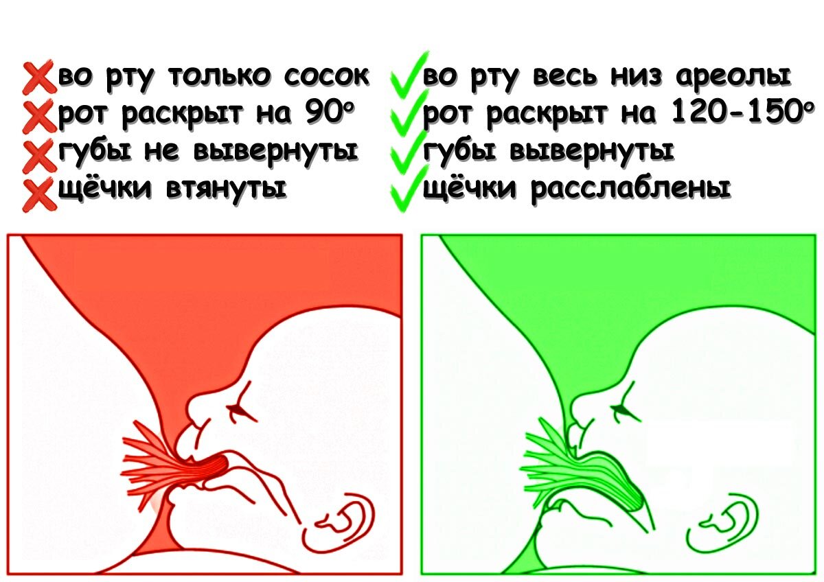 Ребенок отказывается от груди: почему и что делать? - НЦЗД