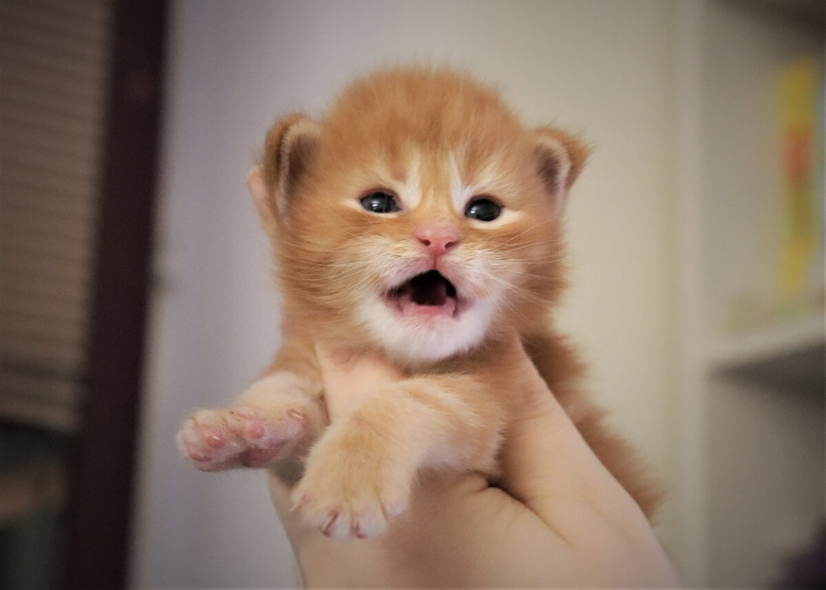 Фото из личного архива.