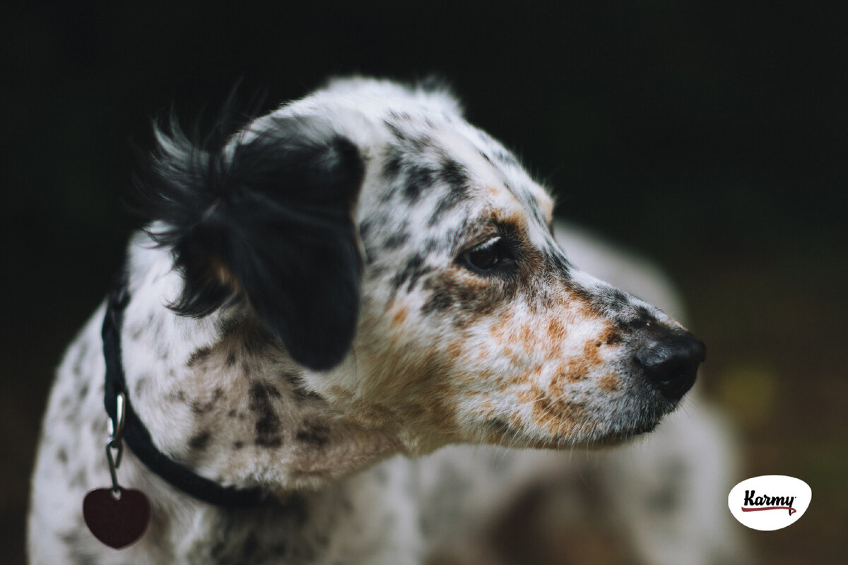 Авторское изображение с использованием картинки с фотостока "Unsplash"