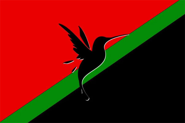 Новый флаг Мартиники. 2023