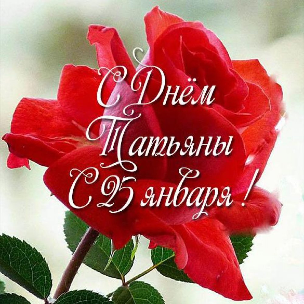 С ТАТЬЯНИНЫМ ДНЁМ!