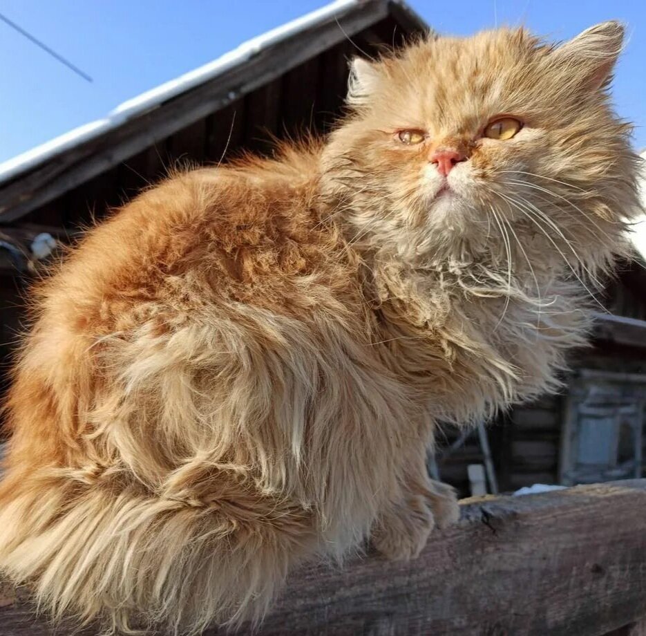 Источник: Яндекс картинки