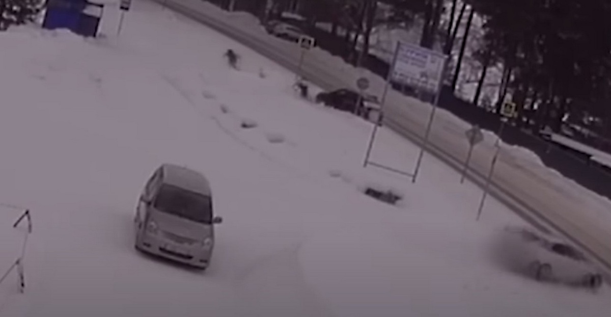     Погоня за убегающими наркосбытчиками