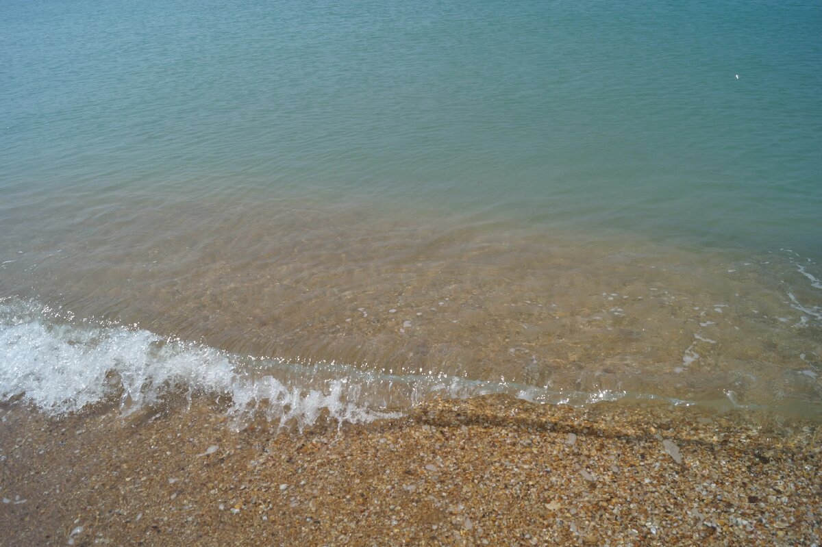 Бугазская коса 2018 г.