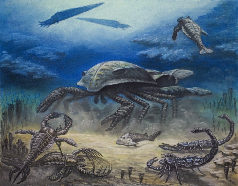 Когда с женой собрался на юга, и спешишь к трапу самолёта.