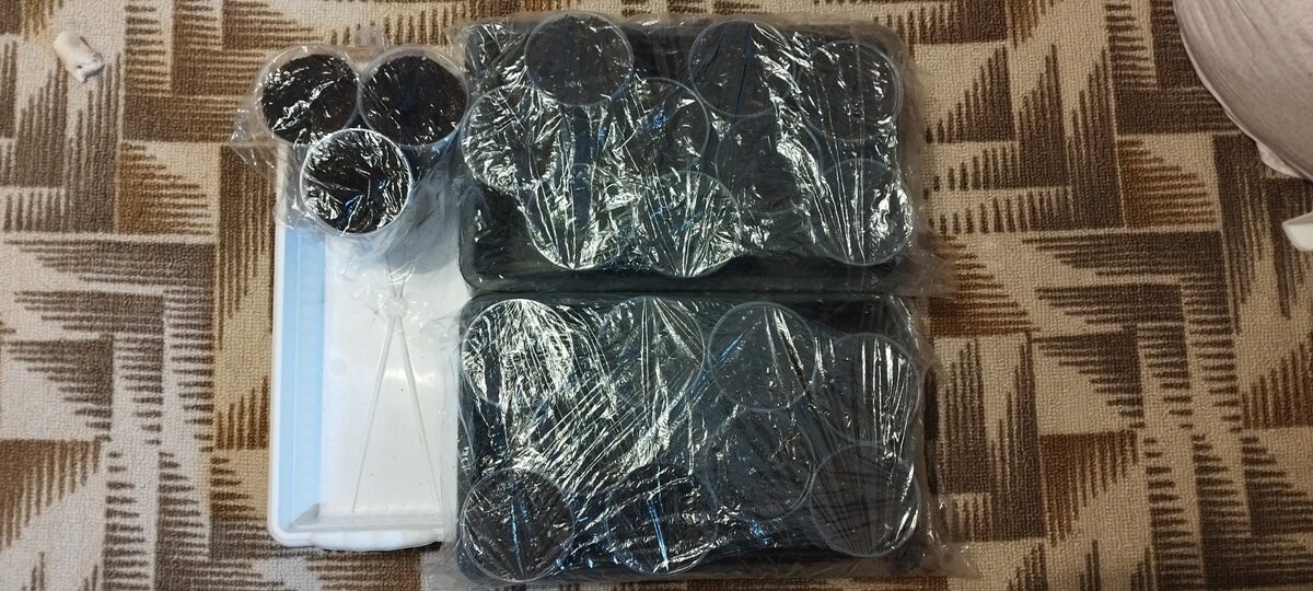 Всего посадила по три семени из 7 пакетиков - 21 стаканчик