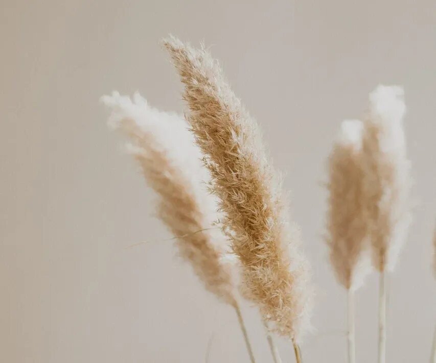     Инстаграм на всю голову: почему мы все гонимся за идеальной картинкой в соцсетях?