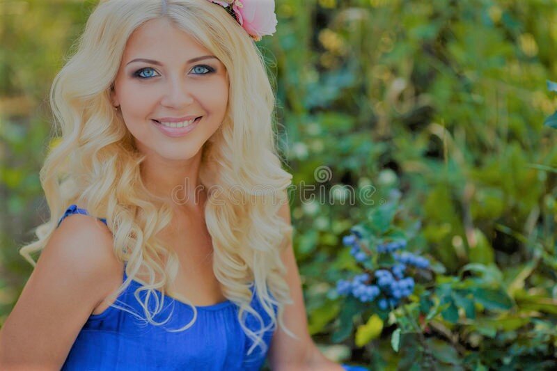 Яндекс. Картинки