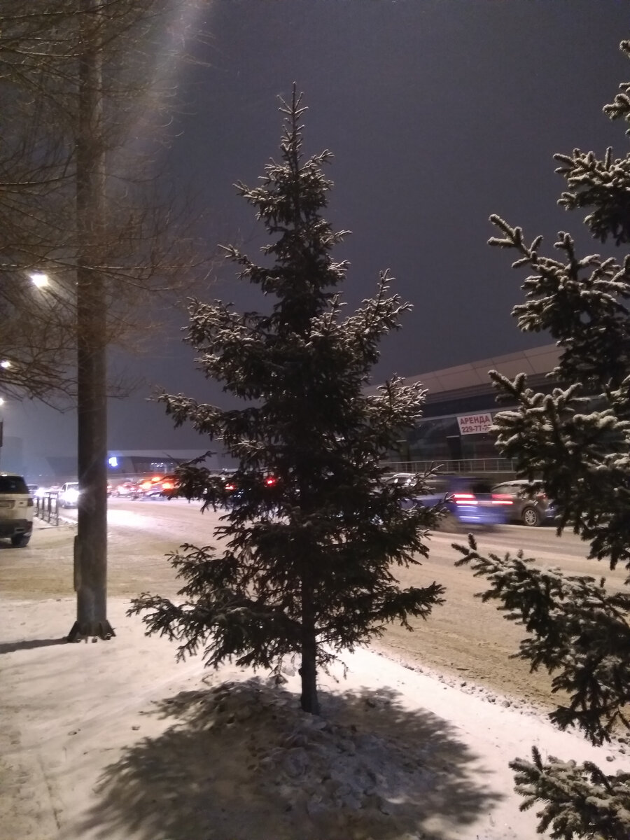 Фото автора. Возле дома