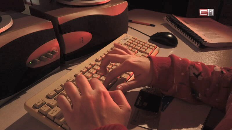    Думал, что деньги перечисляет известному блогеру: как мошенники обманули ребенка