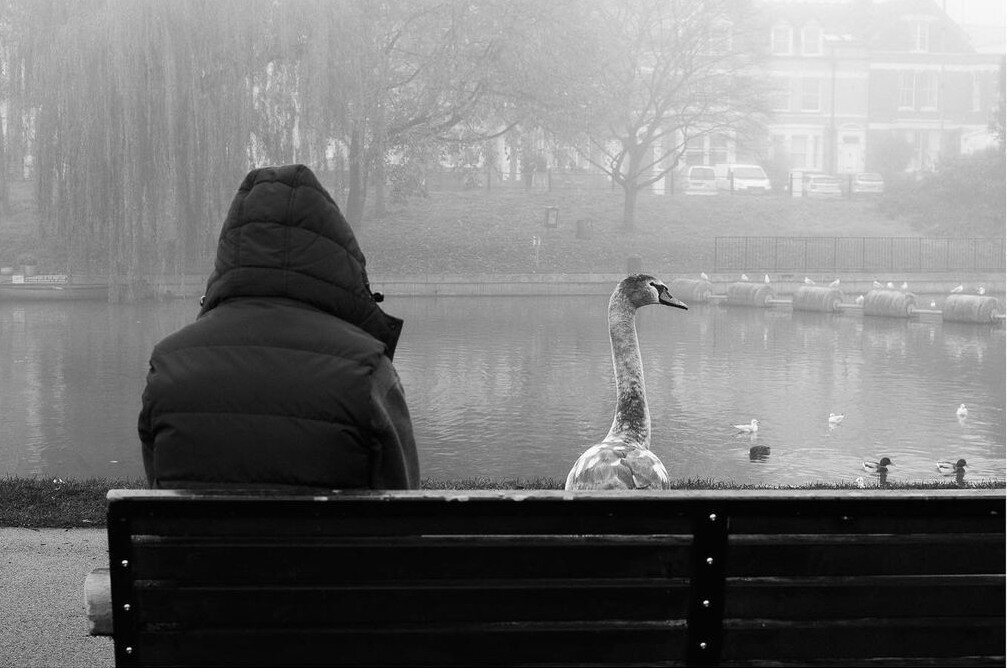Фотограф: CJ Méndez