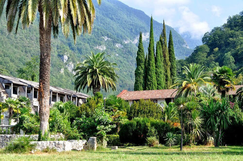 Яндекс фото 