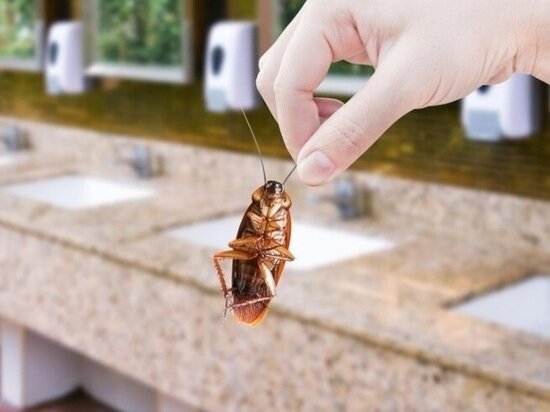     ФОТО: RU.FREEPIK.COM