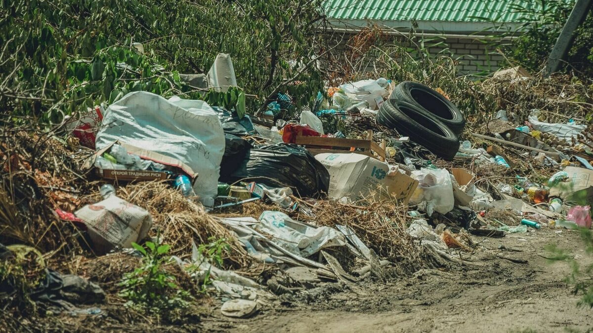     За прошлый год в Волгоградской области вынесено 857 постановлений о штрафах в сфере экологии. Большинство из них, согласно данным Облкомприроды, связаны с незаконным обращением с отходами.