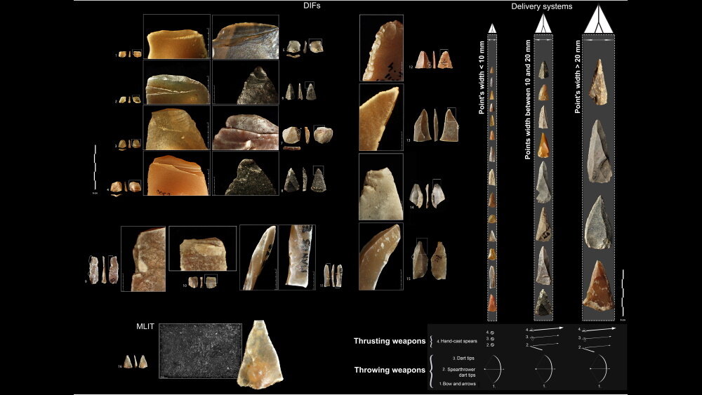    Фото: Laure Metz et al./ Science Advances, 2023