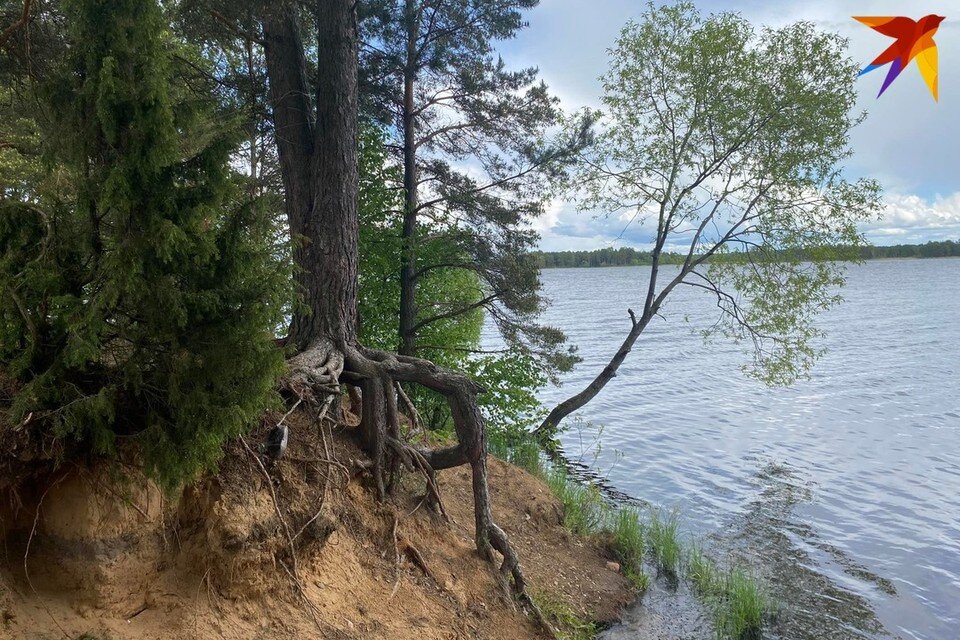     В Беларуси с 1 марта запрещено ловить щуку. Снимок носит иллюстративный характер. Фото: архив «КП»