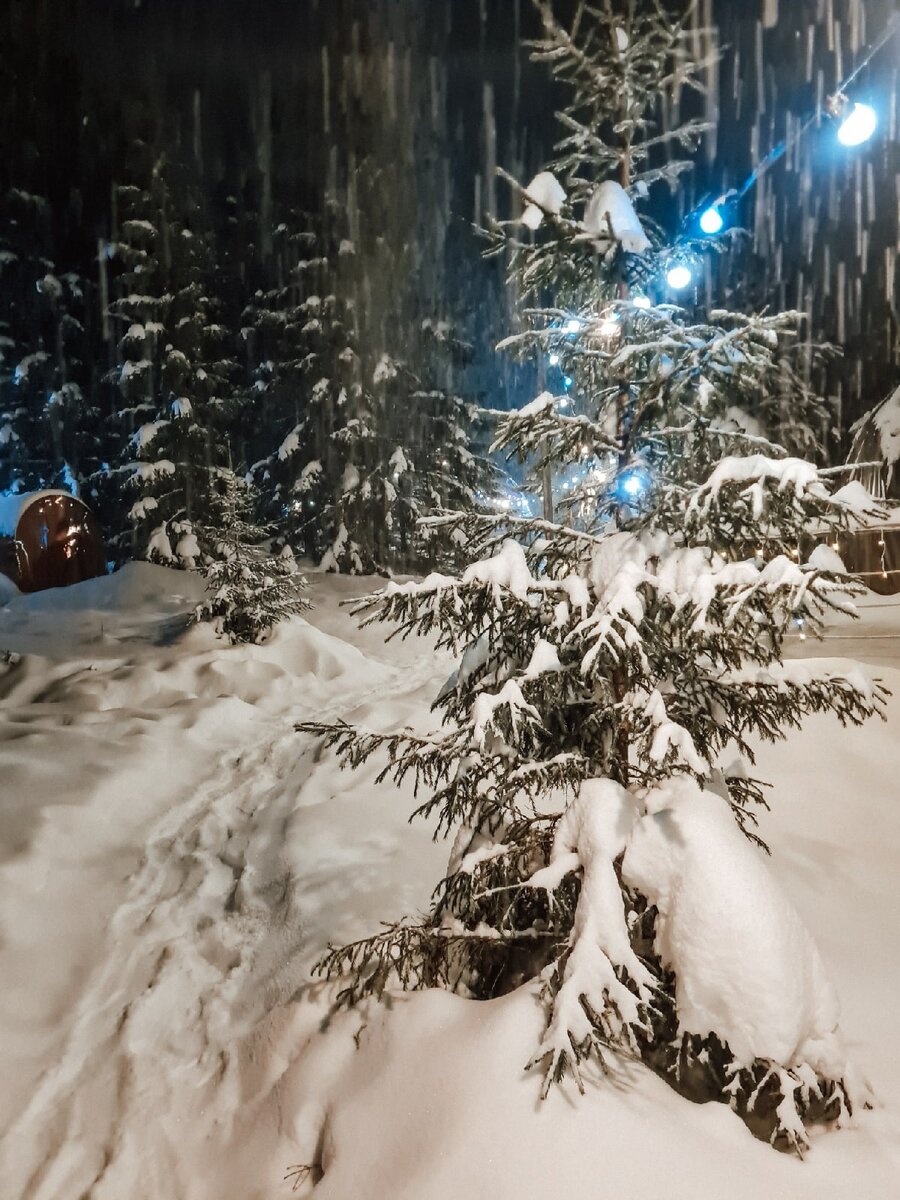 Территория "Ладаглэмп"