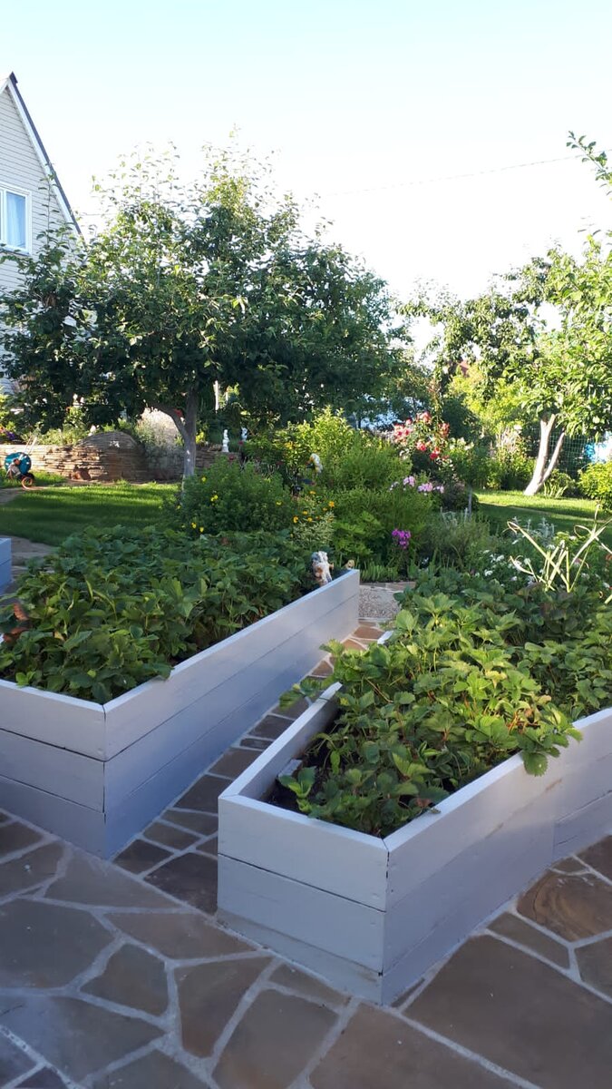 2. В галерее 3 фото, листайте