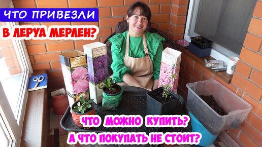 Саженцы из Леруа Мерлен. Что покупать? А что покупать не надо?