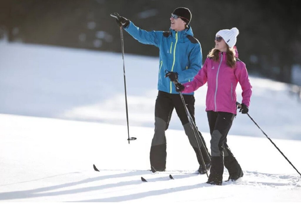 Фото из свободного Интернета