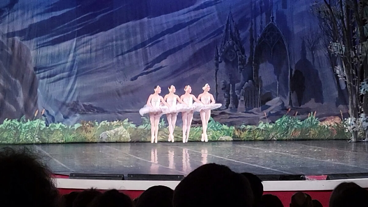 Лебединое озеро. Фото автора