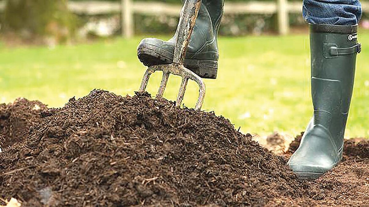 Из открытых источников Интернет