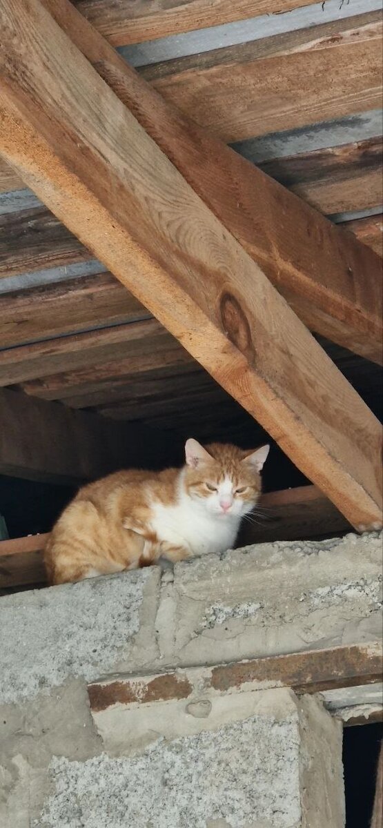 дом Людмилы