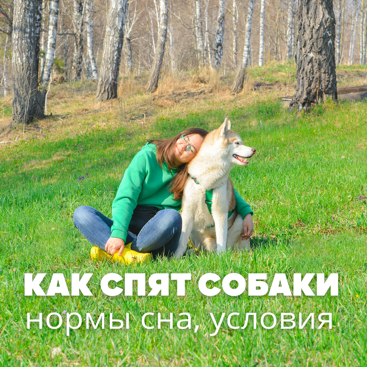 Сон у собак: нормы, условия, нюансы | Собачка головного мозга - Doggy Brain  | Дзен