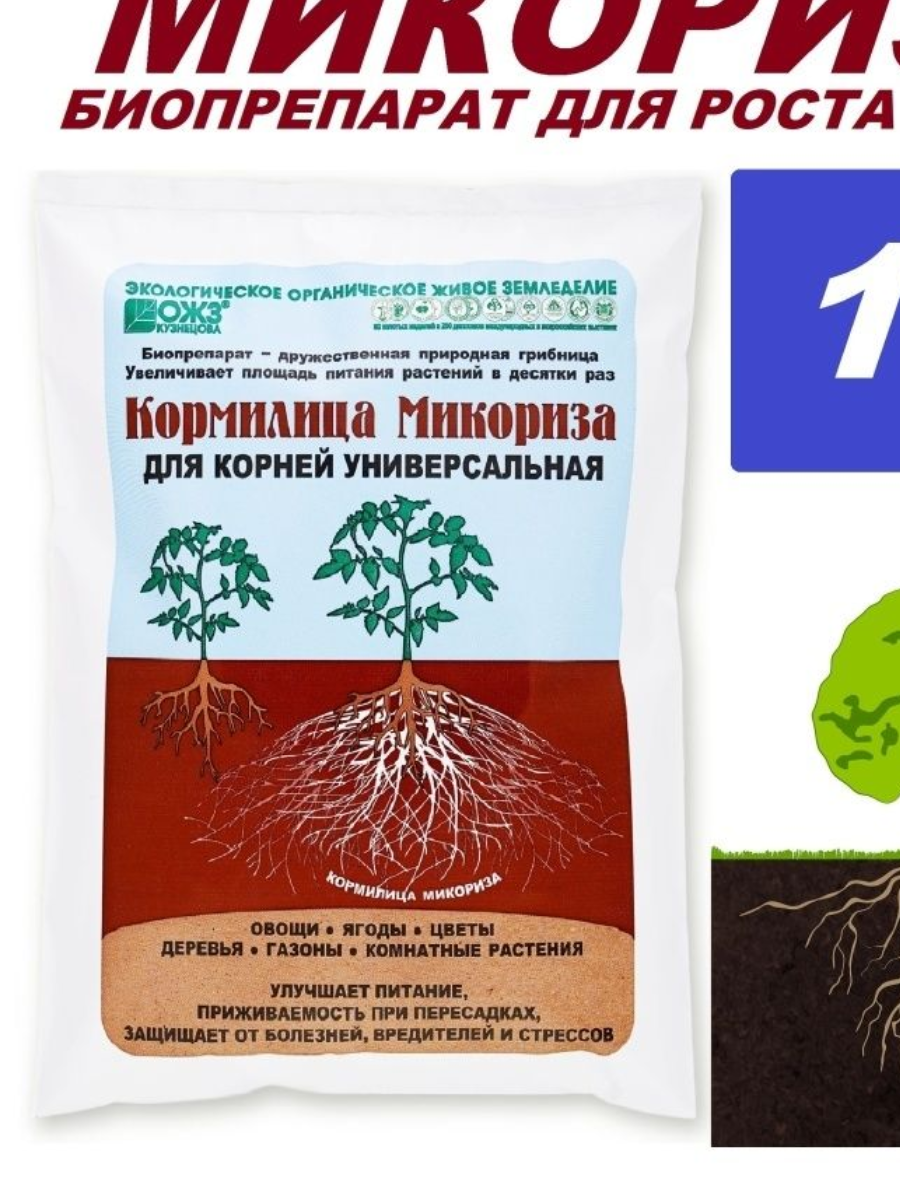 Как использовать микоризу для огурцов