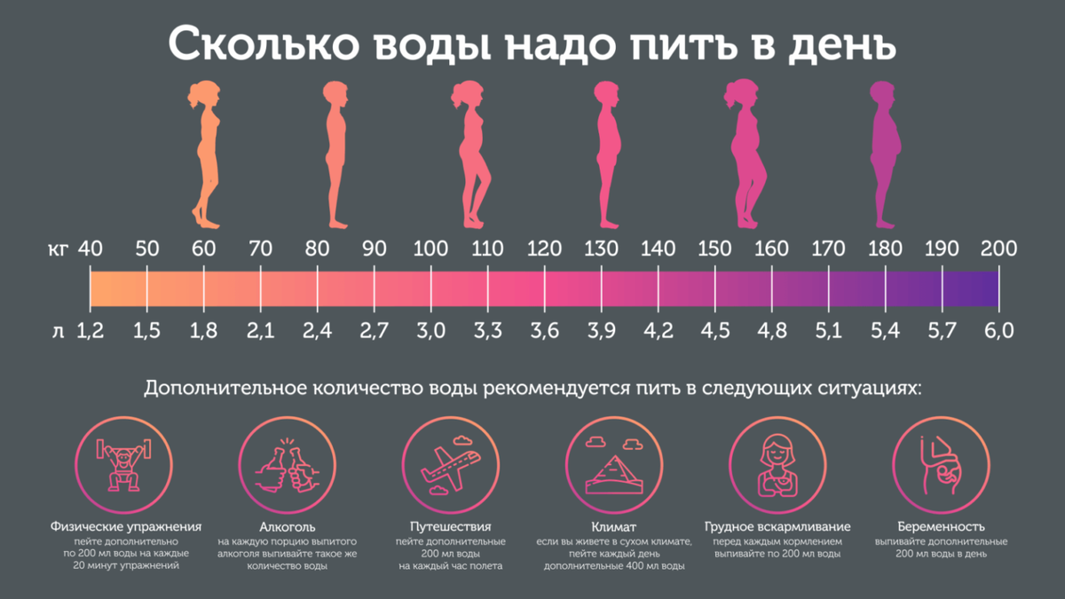 Основы здорового питания для женщин после 50 лет | Полезный канал | Дзен