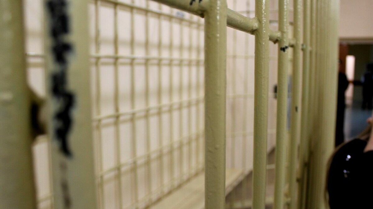     Жители Невинномысска не дали заммэра установить забор вокруг участка в лесу. Ставропольчанка ответит за жесткое обращение с животными. Сирота из Михайловска попала под суд вместо афериста. NewsTracker представляет обзор информационной картины дня 22 марта.