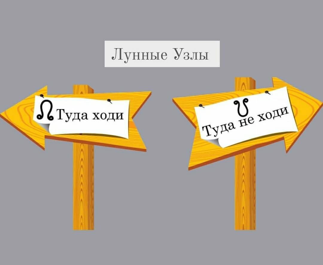 дотуда или до туда. узлы в астрологии. котенок по имени гав. сходить туда. там тебя ждут неприятности.