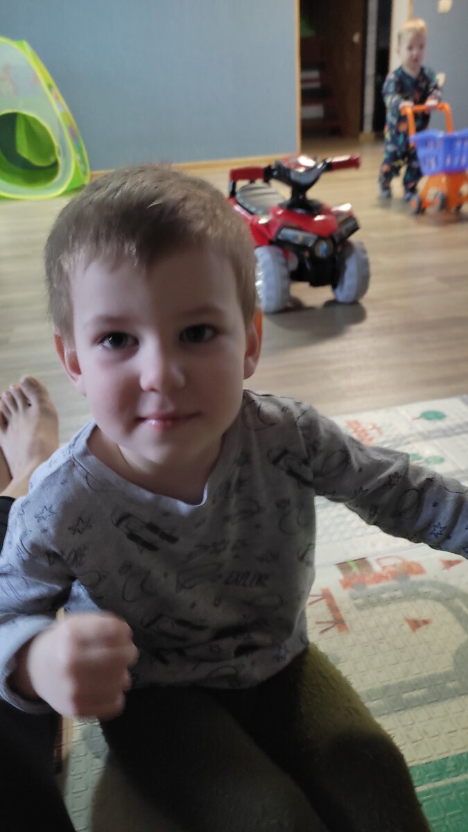 Как я всё пропустила. Из за кого?! | Моя семья и Сфинксы | Дзен