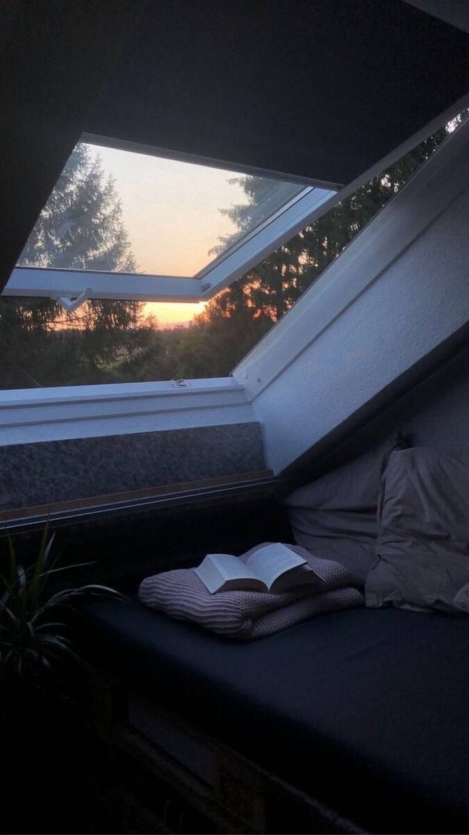 Яндекс фото 