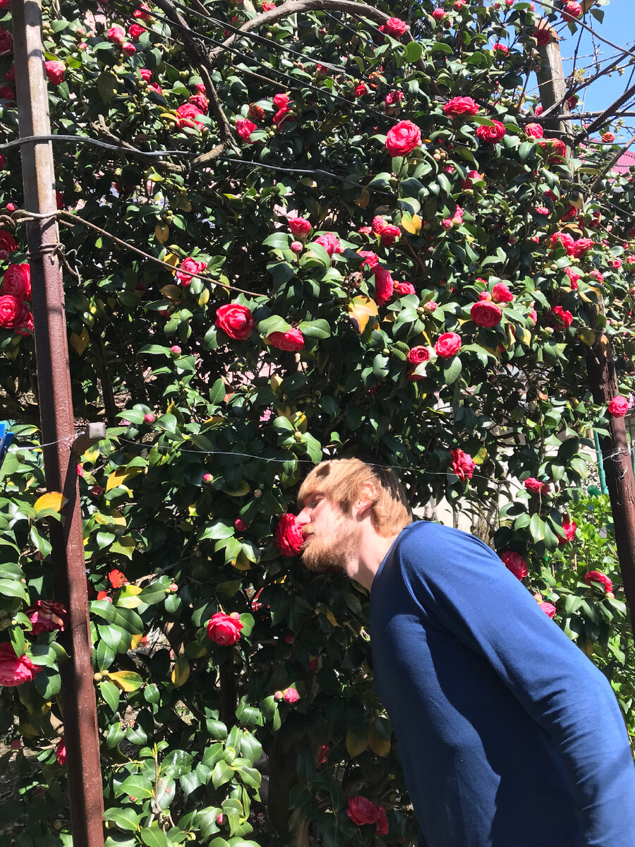 Нюхаю цветы в Адлере 