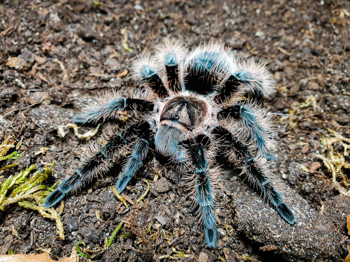 фото из Интернета 