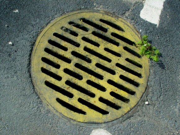    FreeImages.com Content License