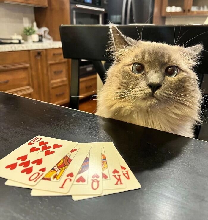 Базовый вариант