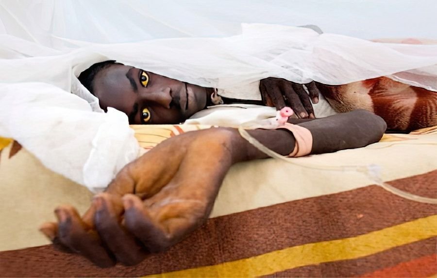 От желтой лихорадки до сих пор нет лекарства и единственный способ избежать заражения — вакцинация/ © rkib-tatar.ru