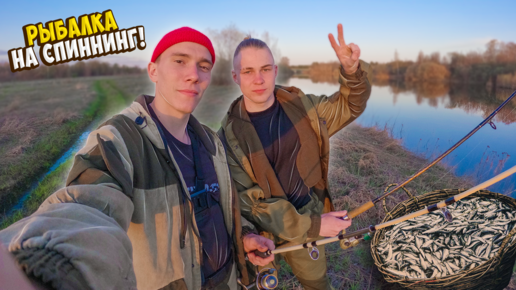 ОХОТА НА ДИКОГО КАРАСЯ. Как поймать карася. big carp fishing - YouTube