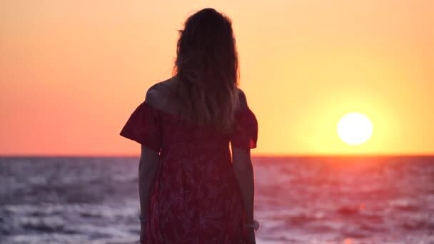 Бродить по свету — мой девиз. Штурвал — моя отрада.