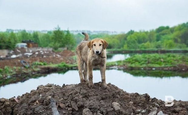Фото: realnoevremya.ru/Максим Платонов 