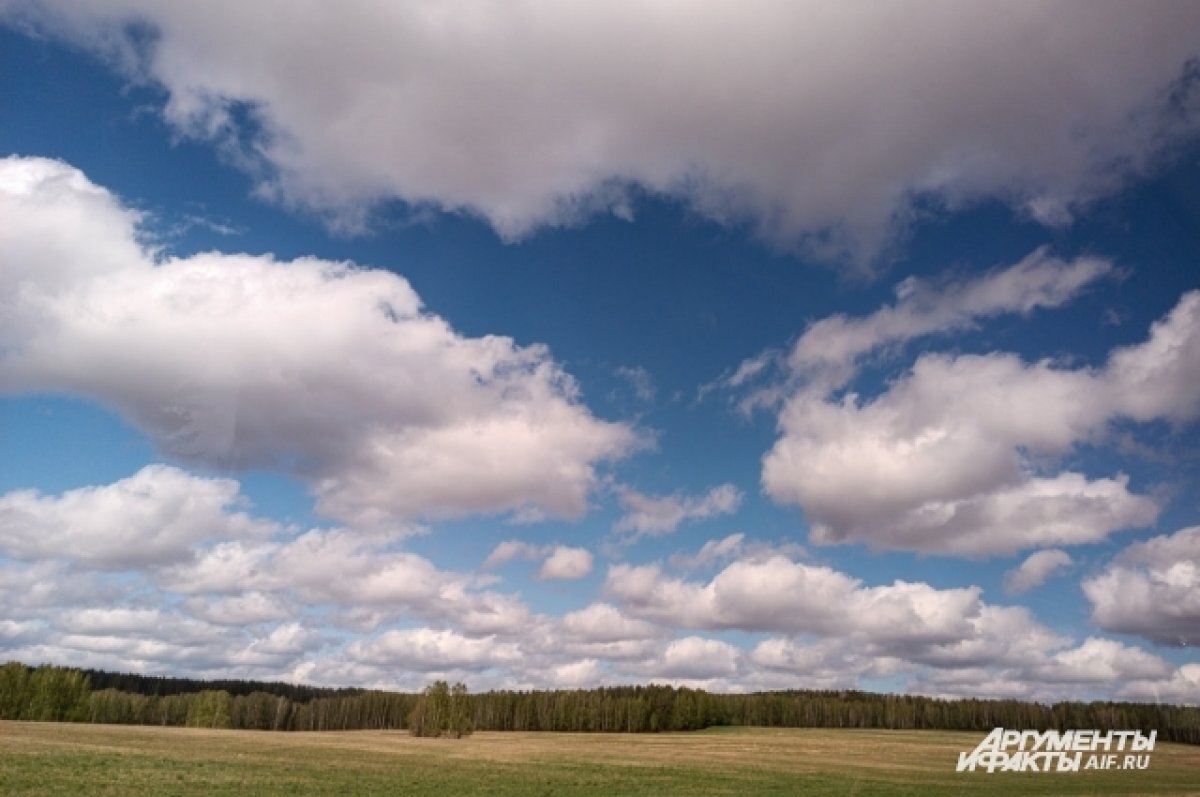    В экспедиции «Зеленой Арктики» на Ямале отправятся 84 волонтера